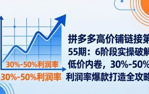 （17698期）拼多多高价铺链接第55期：6阶段实操破解低价内卷，30%-50%利润率爆款打造全攻略