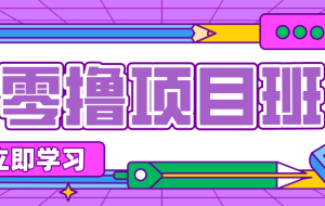 简单零撸项目，绿色正规勤劳者多得，新手也能轻松日入三位数！