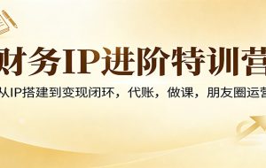 财务IP进阶特训营：从IP搭建到变现闭环，代账，做课，朋友圈运营