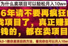 为什么真正賺到钱的都在卖项目,从0-1教你卖项目的方法,看完你也可以月入10w+【揭秘】