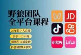 野狼团队2026新版全平台短视频带货教学，打开流量突破口，开始Ai带货（更新26年3月）