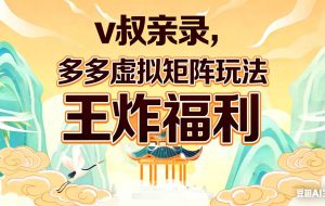 （17733期）v叔亲录，多多虚拟矩阵玩法，王炸福利限时领取
