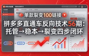 （17737期）拼多多直通车反向技术56期：托管→稳本→裂变四步闭环，单款裂变100链接抢占核心流量