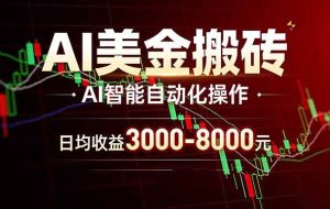(17740期)AI美金搬砖项目 | 日入3000-8000元 | 实地可考察 | 主业副业增收首选