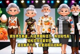 银发养生赛道，AI走秀圈粉百万，粉丝粘性高，轻松实现流量变现，适合新手小白，全套流程玩法解析