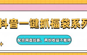 抖音一键抓福袋系列，配合网盘拉新，两份收益不能停