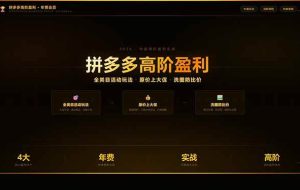 （17779期）拼多多高阶盈利年费会员：全类目活动玩法、原价上大促、洗图防比价等核心盈利技术(更新26年3月)