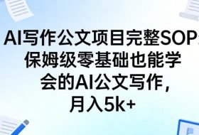 AI写作公文项目完整SOP，保姆级零基础也能学会的AI公文写作，月入5k+