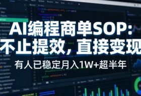 AI编程商单SOP，AI编程不能只给工作提效，还要直接变现，有人已经稳定月入1W+半年了