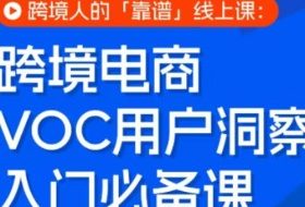 跨境电商VOC用户洞察入门必备课，跨境人的靠谱线上课