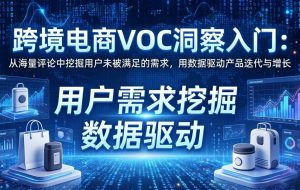 （17796期）跨境电商VOC洞察入门：从海量评论中挖掘用户未被满足的需求，用数据驱动产品迭代与增长