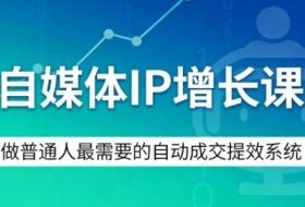 自媒体IP增长课，做普通人最需要的自动成交提效系统
