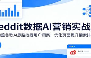 Reddit数据AI营销实战课：借鉴谷歌AI思路挖掘用户洞察，优化页面提升搜索排名