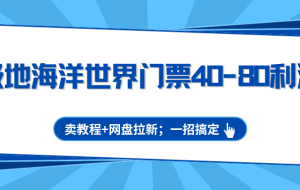 极地海洋世界门票40-80利润，卖教程+网盘拉新；一招搞定