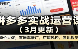 拼多多实战运营课（3月更新）：原价大促，直通车推广，店铺风控，落地教学