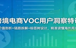 跨境电商VOC用户洞察特训：价值剖析+链路拆解+标签树设计，精准读懂海外用户