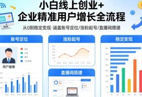 小白线上短视频创业+企业精准用户增长全流程，涵盖账号定位、涨粉起号，直播间搭建等，从0做到稳定变现