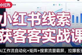 小红书线索获客实战课，AI工作流自动化+矩阵+搜索流量霸屏，拉爆客资