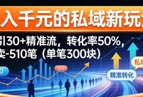 日入千米的私域新玩法：日引30＋精准流，转化率50%，日卖5-10笔（单笔300米）