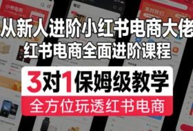 从新人进阶小红书电商大佬，红书电商全面进阶课程，3对1保姆级教学，全方位玩透红书电商