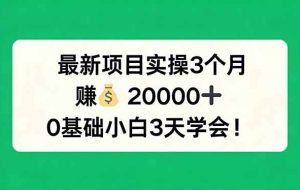 （17856期）最新项目实操3个月，赚钱20000+，0基础小白3天学会！