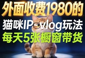 宠物赛道猫咪IP-vlog玩法，26条视频涨粉29W，每天5张橱窗带货拆解