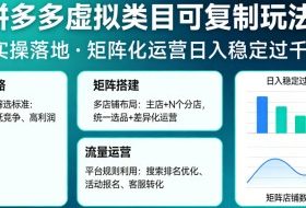 拼多多虚拟类目可复制玩法，实操落地，矩阵化日入稳定过千【揭秘】