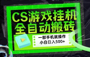（17876期）CSGO游戏挂机捡漏搬砖，超稳定的项目，带领1000+小白实现日入500+，数据可视频验证