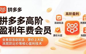 （17881期）拼多多高阶盈利年费会员(更新4月)：全类目活动玩法、原价上大促、洗图防比价等核心盈利技术