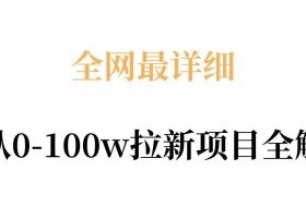 全网最详细从0-100w拉新项目全解，原理、收益和操作全拆解
