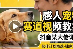 感人宠物赛道视频教学，抖音某大佬课程，可做伙伴计划精选独家收益