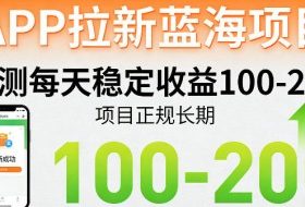 APP拉新蓝海项目，亲测每天稳定收益100-200，项目正规长期
