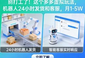 别打工了！这个多多虚拟玩法，机器人24小时发货和客服，月1-5W【揭秘】