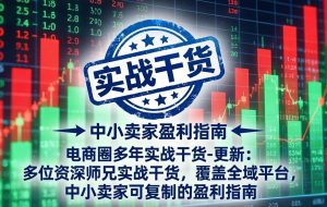 （17892期）电商圈多年实战干货-更新4月：多位资深师兄实战干货，覆盖全域平台，中小卖家可复制的盈利指南