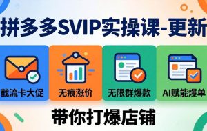 （17912期）拼多多SVIP实操课-26年4月，截流卡大促+无痕涨价+无限群爆款+AI赋能爆单新玩法，带你打爆店铺