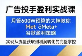 广告投手盈利实战课，月管600W预算的大神教你Meta+谷歌盈利策略，实现从流量获取到利润转化的完整掌控