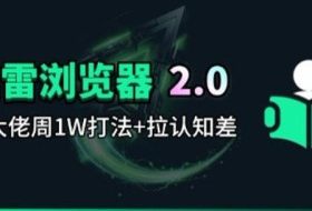 迅雷浏览器项目2.0_拆个大佬周1W的打法