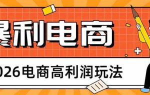 （17963期）2026电商高利润玩法，长期稳定可做，利润高，需求大，日赚500