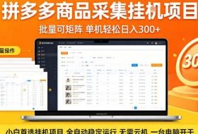 拼多多商品信息全自动采集项目，批量可矩阵，单机轻松日入300+，无需云机一台电脑开干【揭秘】
