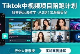 某大佬的Tiktok中视频项目陪跑，涵盖TK各个赛道玩法教学，从0到1出海賺美金