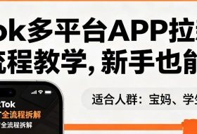 TikTok多平台APP拉新，完整流程教学，新手也能上手，轻松出海搞美金