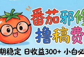 番茄撸金术：日入300+稳如泰山！独家玩法曝光，操作门槛极低，无需经验，小白闭眼上车【揭秘】