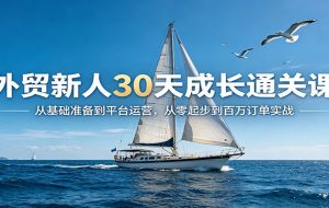 外贸新人30天成长通关课：从基础准备到平台运营，从零起步到百万订单实战