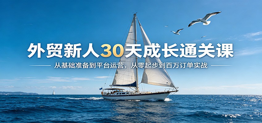 外贸新人30天成长通关课:从基础准备到平台运营,从零起步到百万订单实战 外贸新人30天成长通关课:从基础准备到平台运营,从零起步到百万订单实战