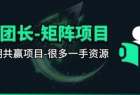 【团长合作】视频矩阵项目_招发手矩阵+剪辑师,共赢项目【揭秘】