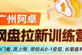 网盘拉新训练营，0门槛，高上限，带你从0-1变现，长期复利