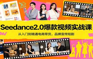 Seedance2.0爆款视频实战课：从入门到精通电商带货，品牌宣传短剧