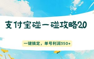 支付宝碰一碰攻略2.0,一键搞定,单号利润350+