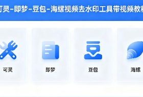 可灵–即梦–豆包–海螺视频去水印工具带视频教程