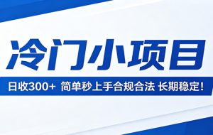 冷门小项目，日收300＋，简单秒上手合规合法，长期稳定！